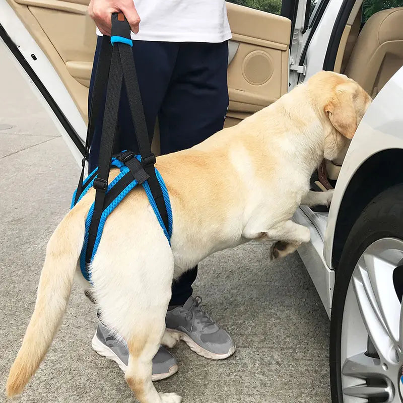 Adjustable Dog Lift Harness For Back Legs